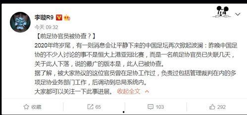 李璇爆料裁判视频大全最新,裁判视频大全背后的真相与争议  第3张